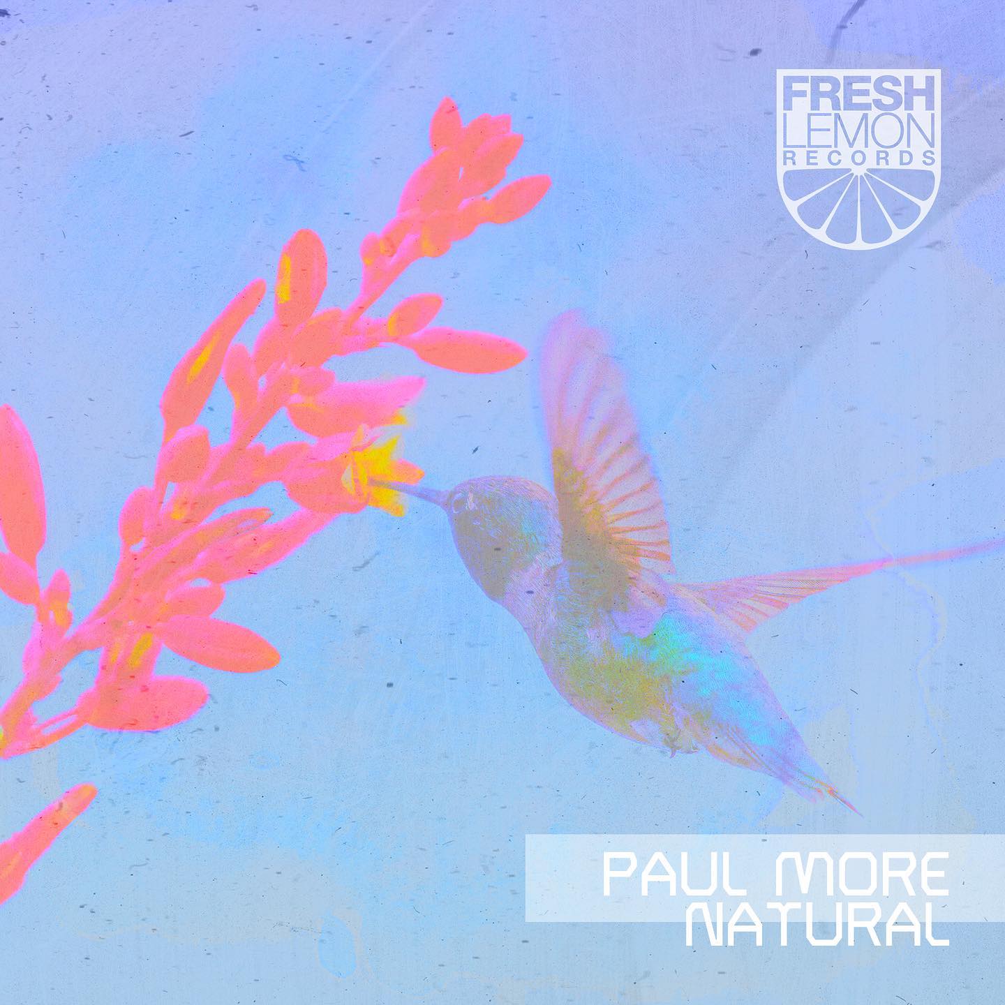 Fresh Lemon records - ep cover - Paul More - Natural