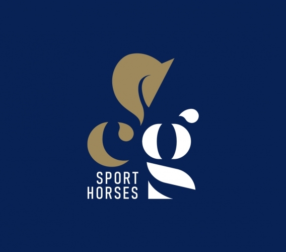 Logo design & naamkaartjes voor CG Sporthorses